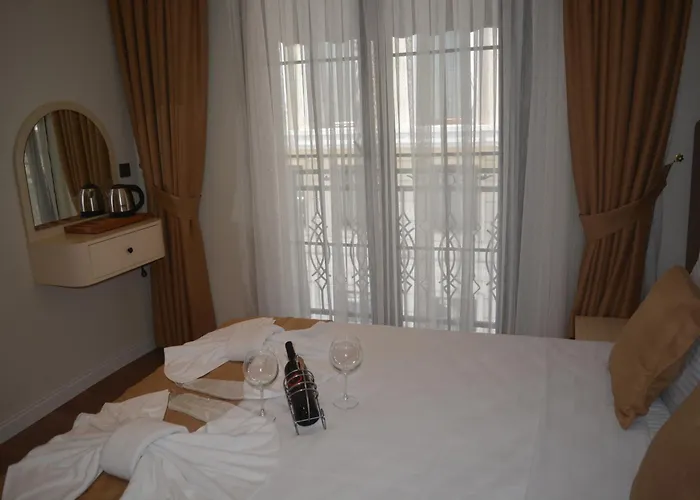 Garden Elisa ホテル *